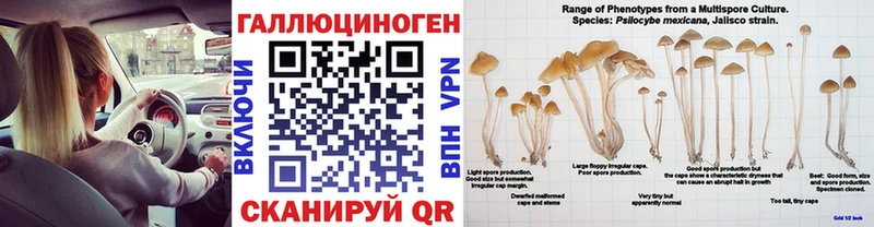 Галлюциногенные грибы Psilocybe  Электрогорск 