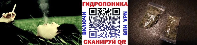 наркошоп  Электрогорск  Конопля Bruce Banner 